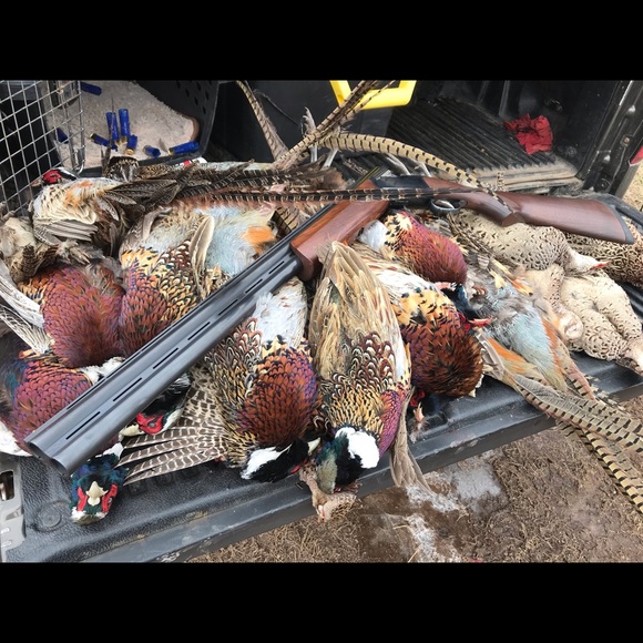 Meet your Posher, Jeremy - Picture 1 of 1